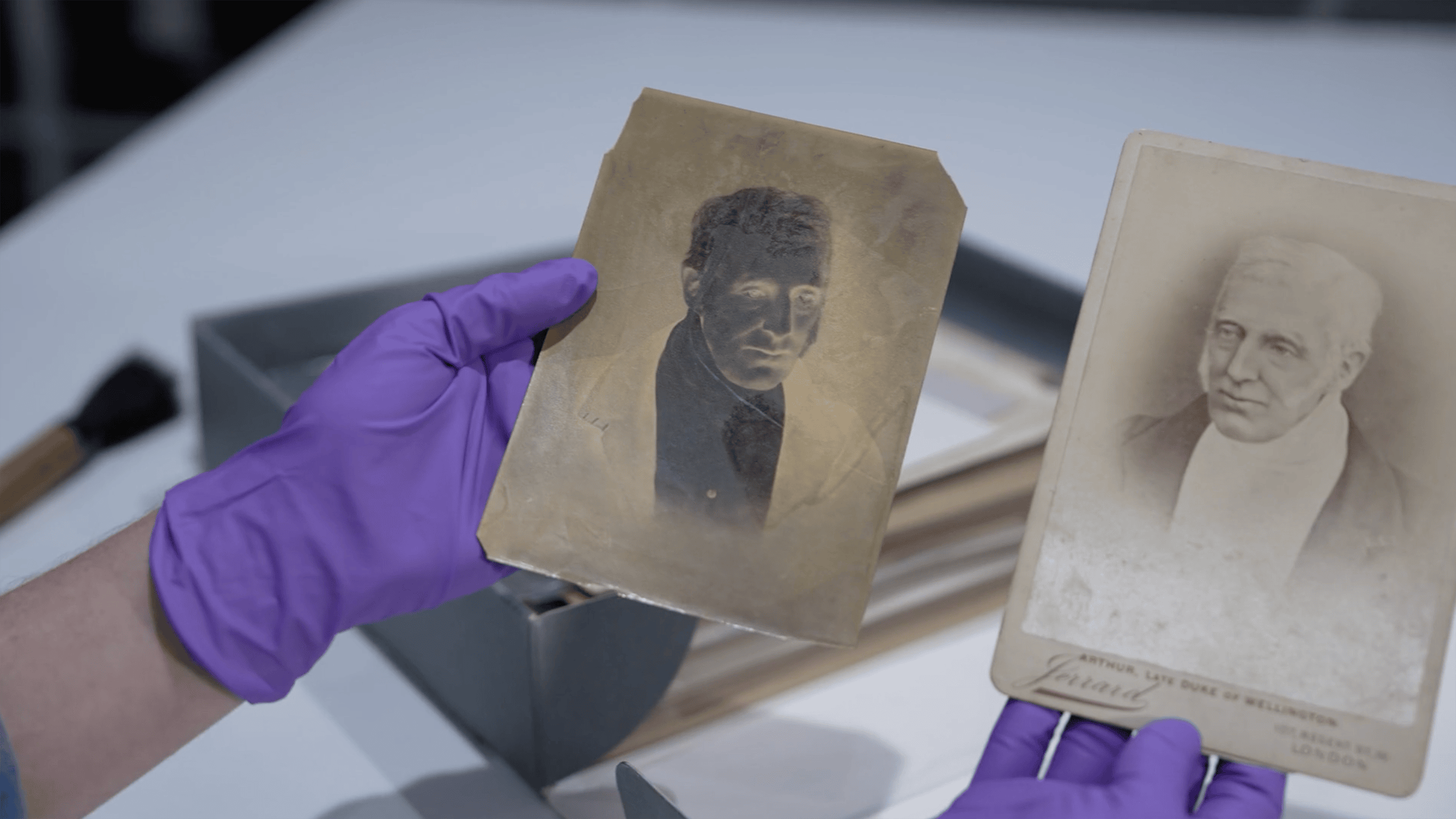 Getty Images Archive video - Conservation, screenshot.